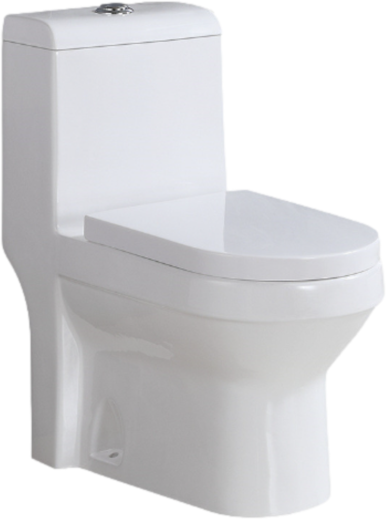 Toilette monobloc